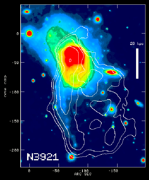 NGC 3921