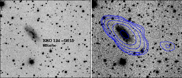ESO 124-G015