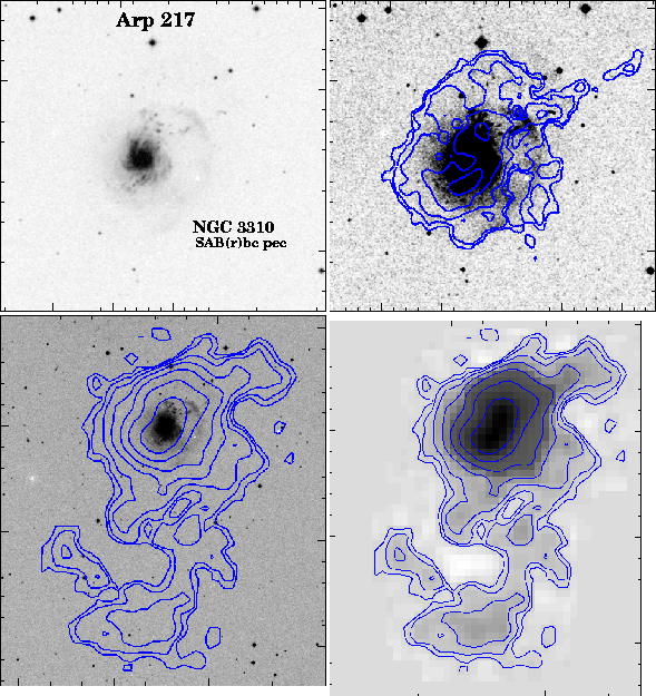 Arp 217 / NGC 3310